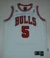 /album/chicago-bulls/a98-dsc00131-jpg/